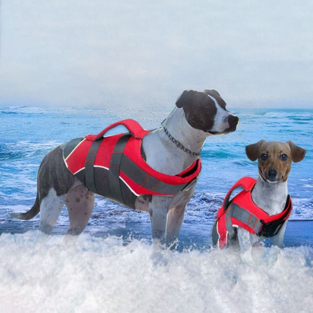 Reflecterend reddingsvest voor - Life Jacket Buoyancy recensie en prijs